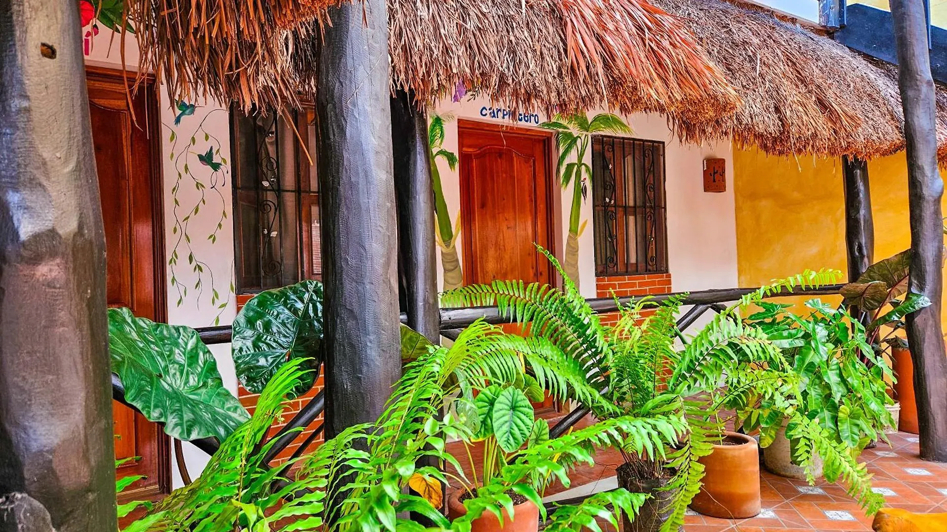 Hotel Mb Bacalar